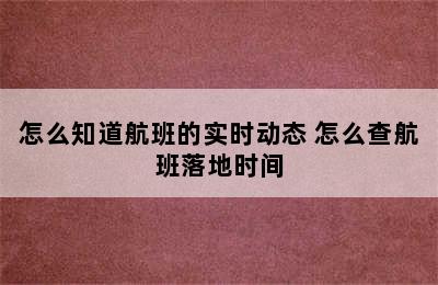 怎么知道航班的实时动态 怎么查航班落地时间